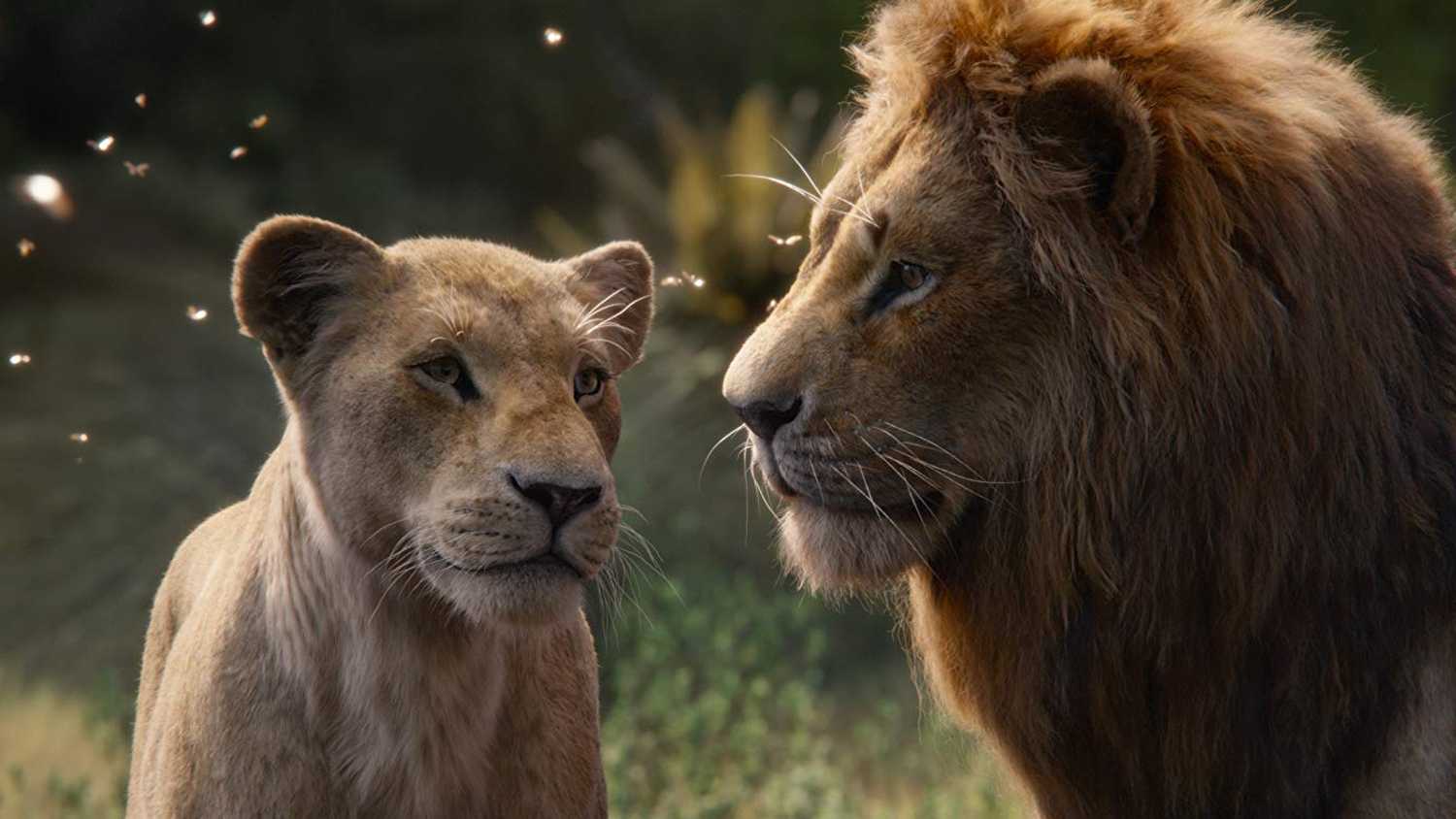 Lion King 2019: Lies take away the position of the lioness - Beauty Magazine