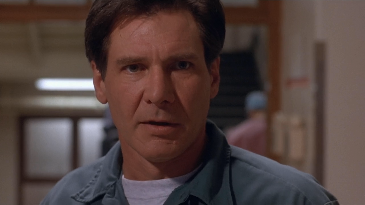 The Fugitive (1993) |  2014: A Film Odyssey